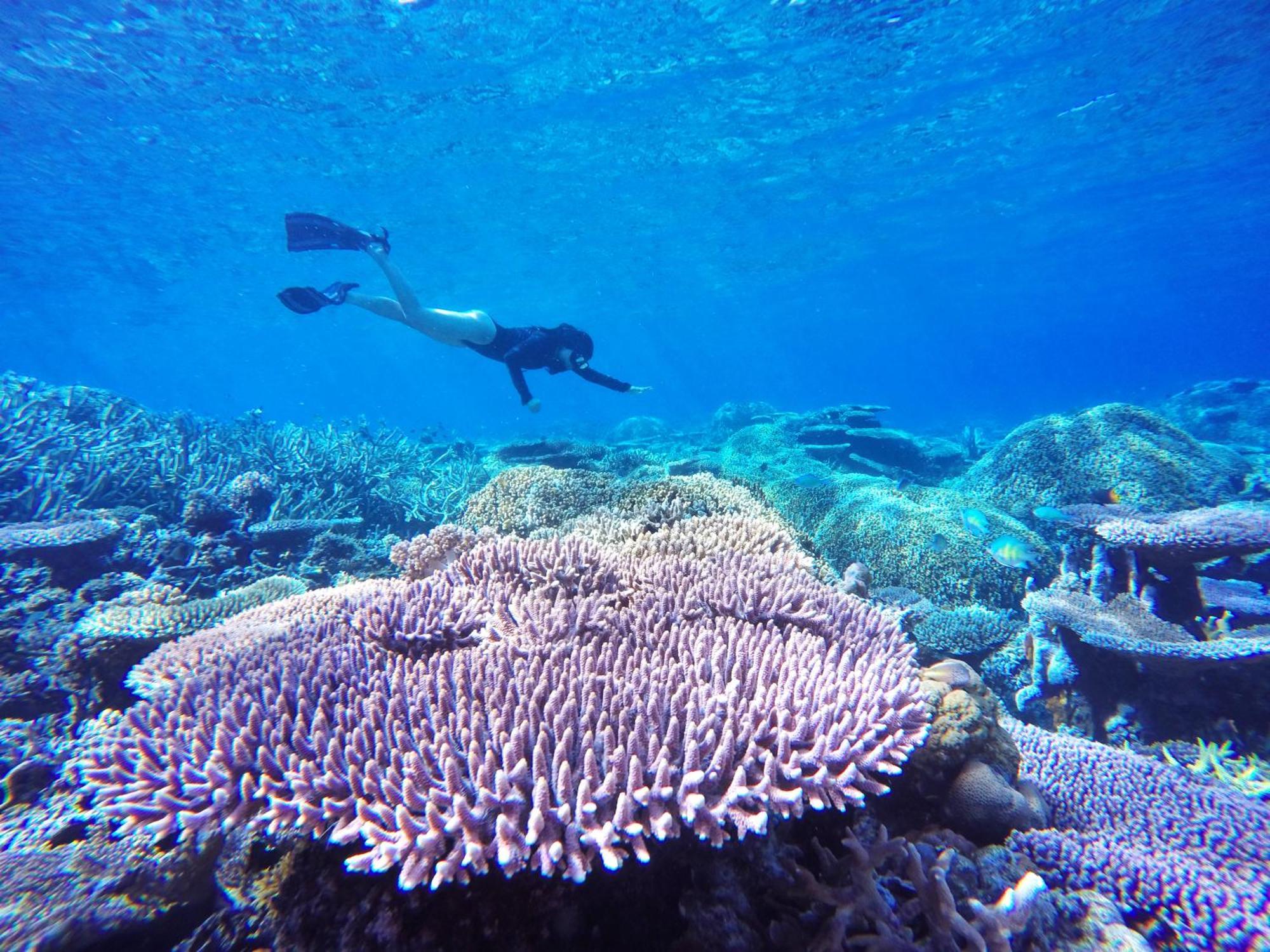 Bolilanga Island Resort - Togean Island Angkayo Kültér fotó
