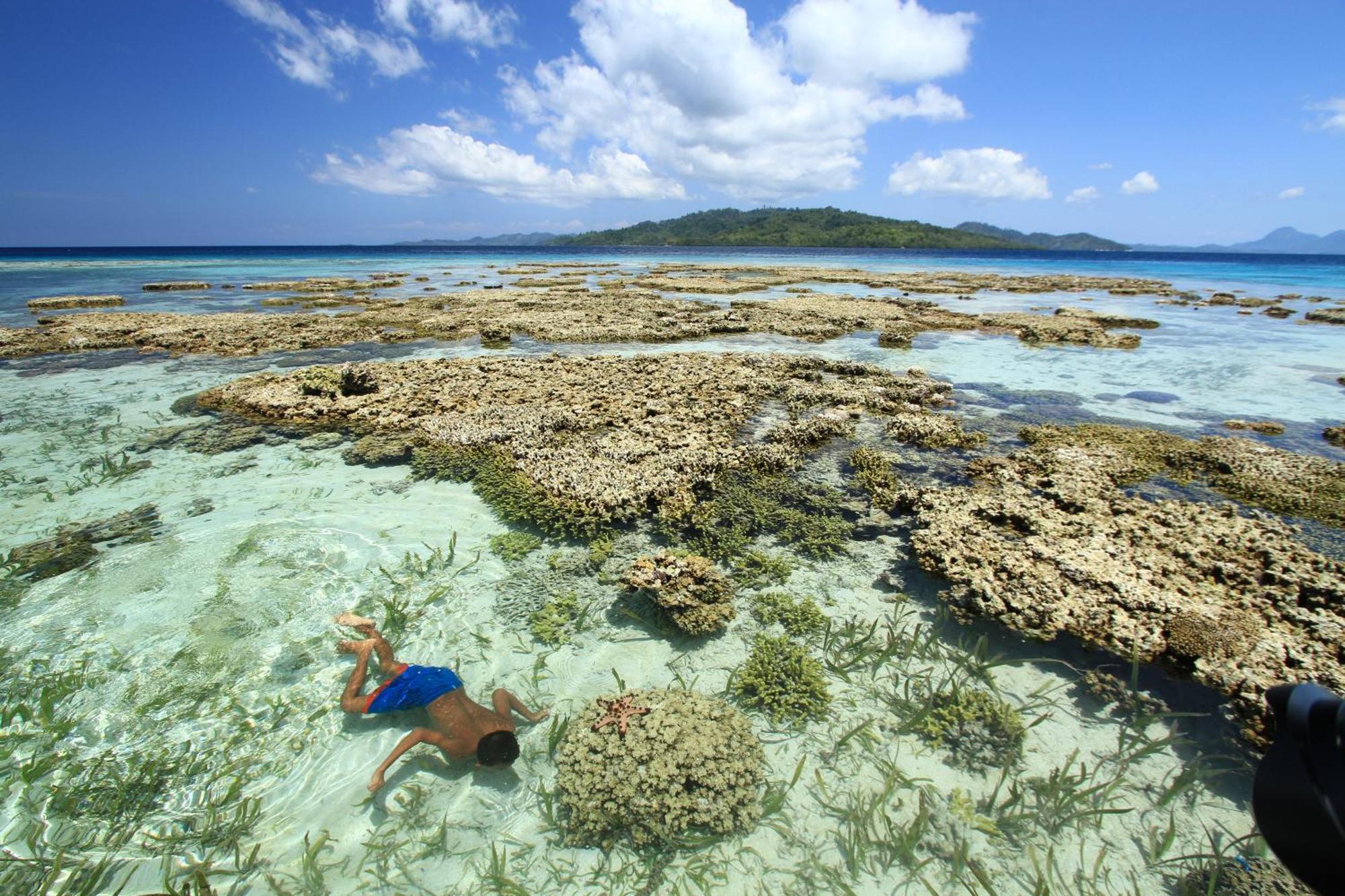 Bolilanga Island Resort - Togean Island Angkayo Kültér fotó