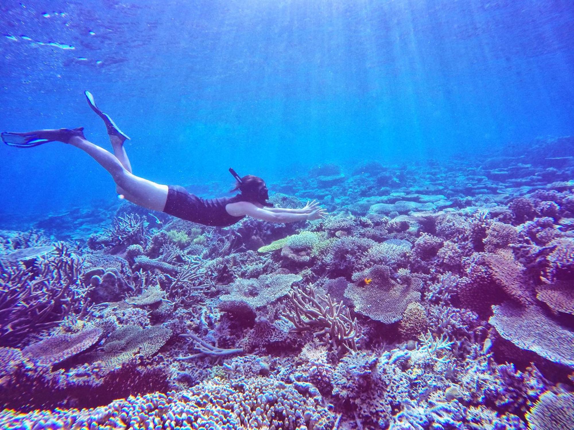 Bolilanga Island Resort - Togean Island Angkayo Kültér fotó
